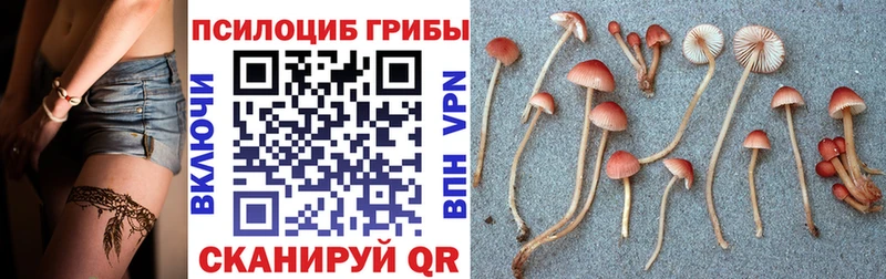 Галлюциногенные грибы MAGIC MUSHROOMS  Купить  Малоархангельск 